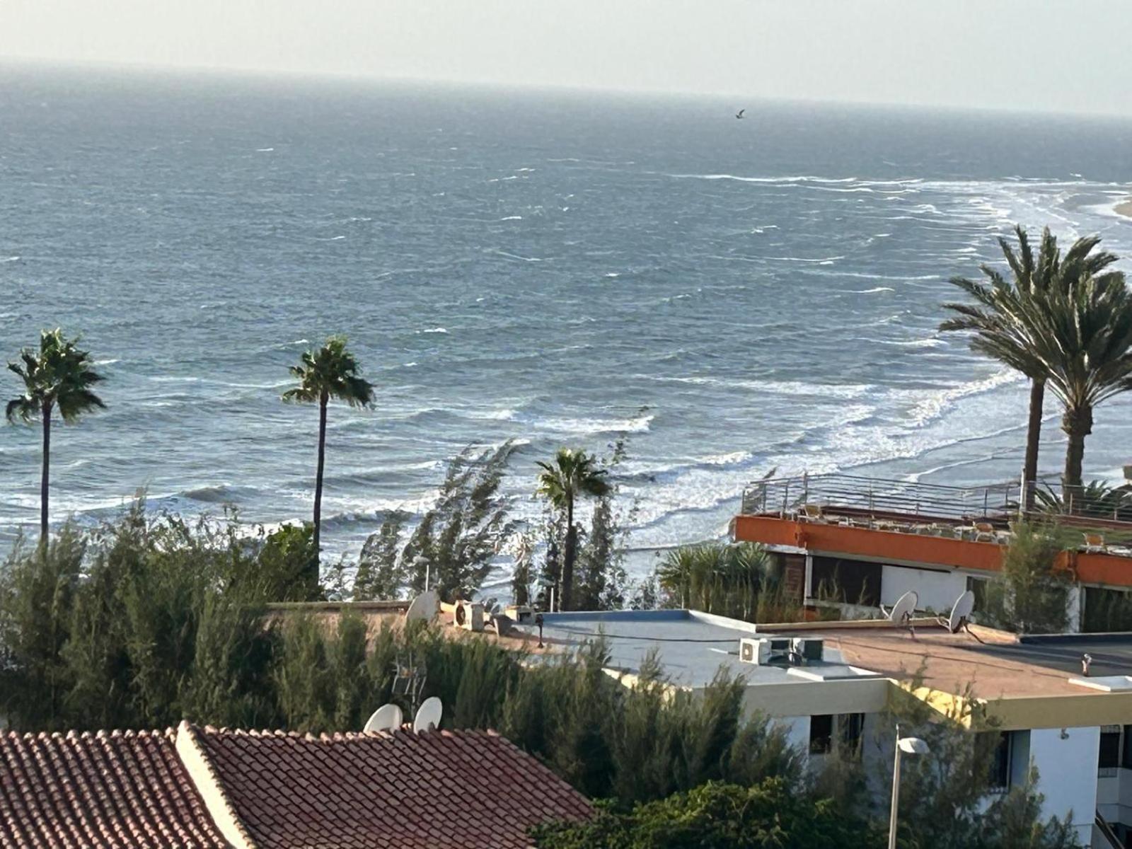 Apartamento Complejo Cactus Sol Y Mar Maspalomas (Gran Canaria)